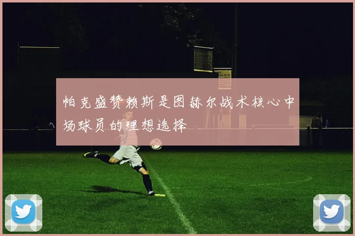 帕克盛赞赖斯是图赫尔战术核心中场球员的理想选择