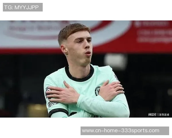 英超联赛禁止球队向姐妹公司出售资产切尔西和埃弗顿被指存在违规行为